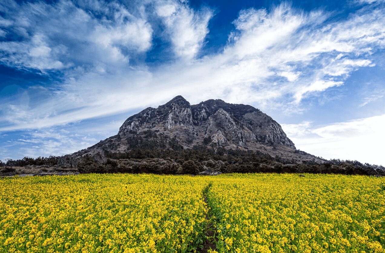 Best 5 tourist attractions in Jeju Island, South Korea